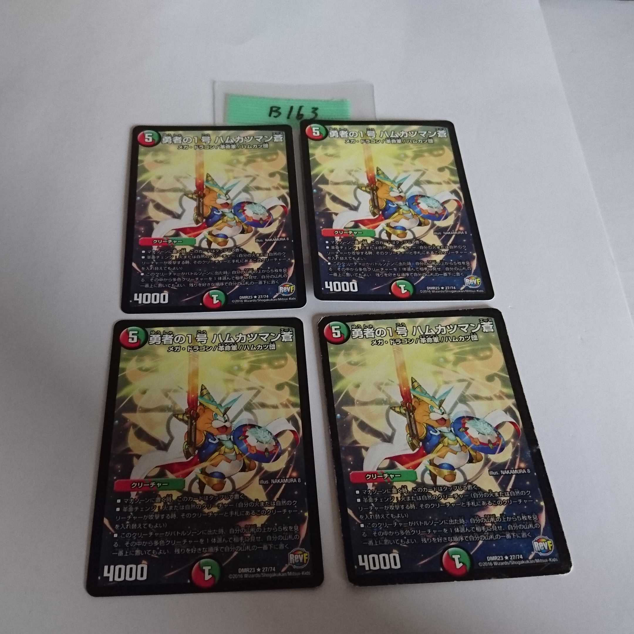 ヒポポタス様専用 B163