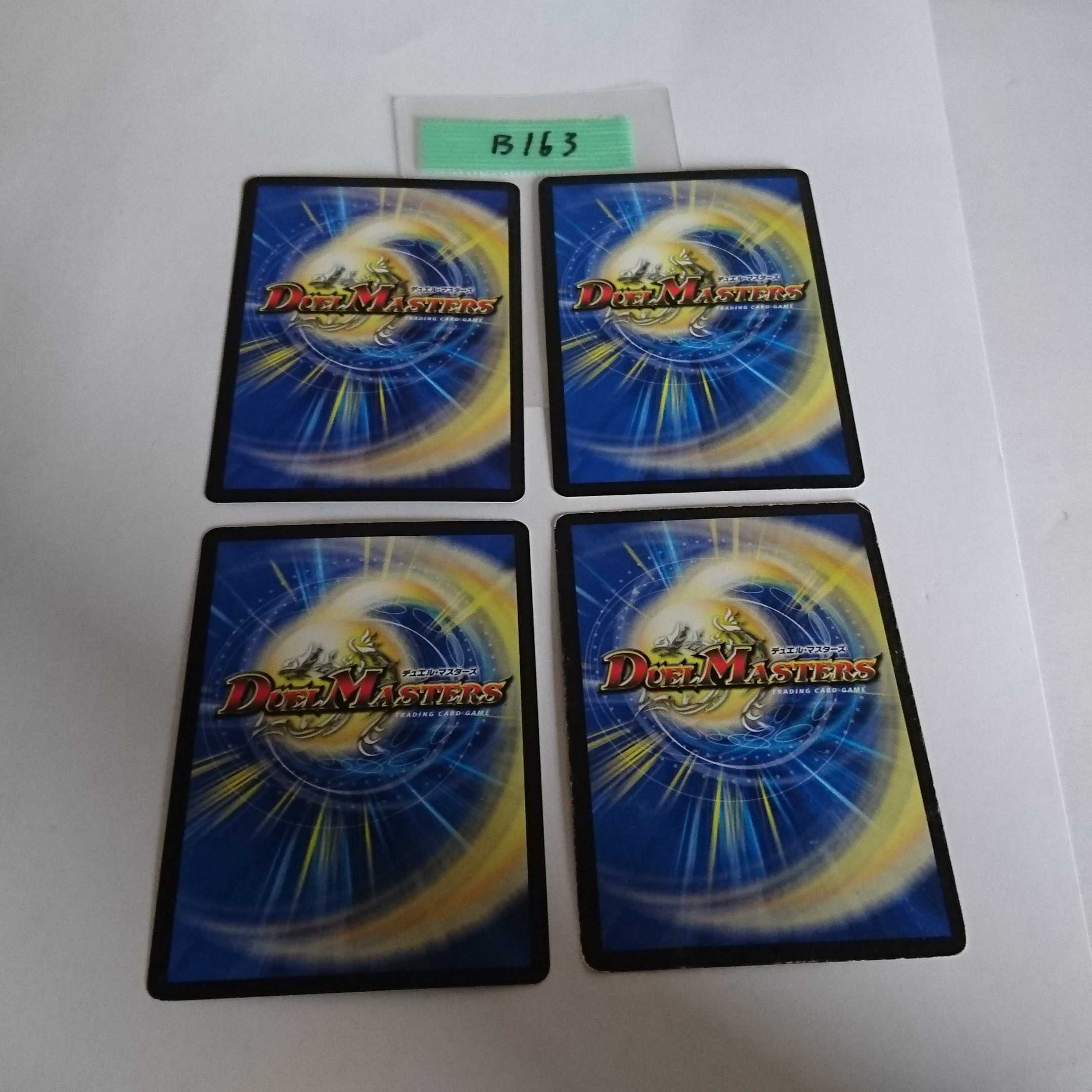 ヒポポタス様専用 B163