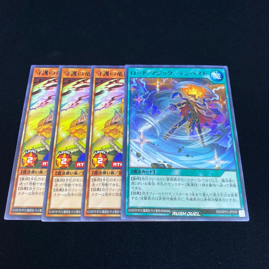 守護の竜魔導士 ロードマジックテンペスト