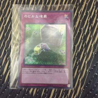 Peaceful Burial Secret Rare