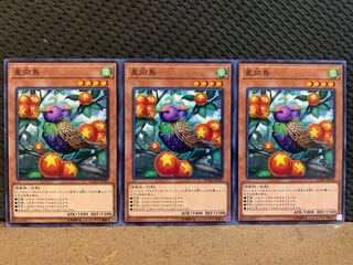 【ぽぽたん】遊戯王 10557 星向鳥 3枚 ノーマル