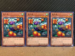 【ぽぽたん】遊戯王 10562 星向鳥 3枚 ノーマル