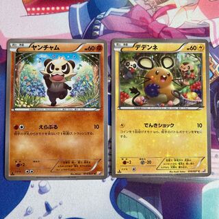 CP2 ヤンチャム デデンネ