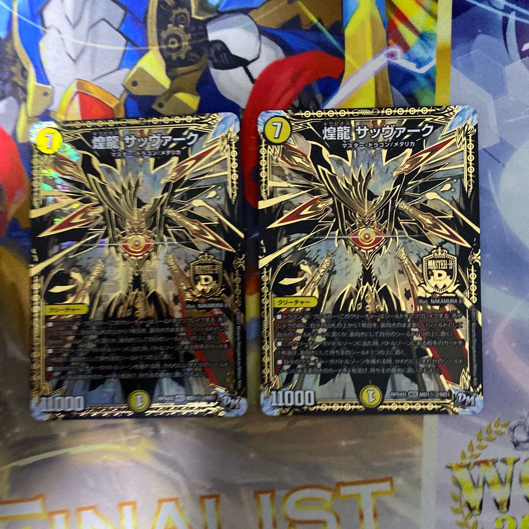 煌龍 サッヴァーク SE