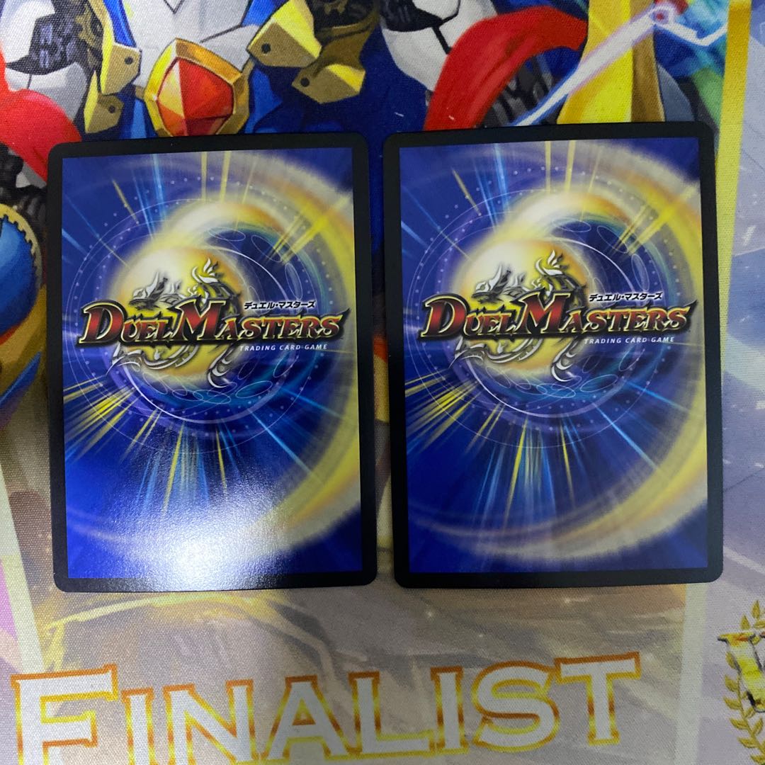 煌龍 サッヴァーク SE