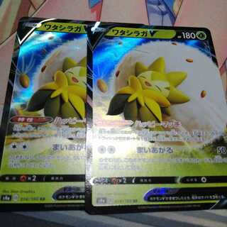 ワタシラガV 2枚