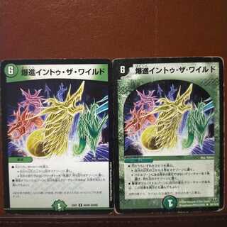 セット割引　爆進イントゥ・ザ・ワイルド