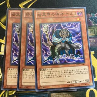 マドレース55暗黒界の導師 セルリ スーパーレア