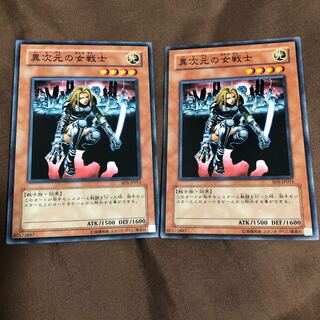 異次元の女戦士 ノーマル