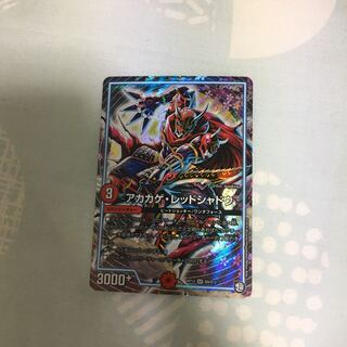 アカカゲ・レッドシャドウ