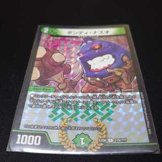 ダンディ・ナスオ C-foil