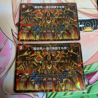 龍世界 -龍の降臨する地- 2枚