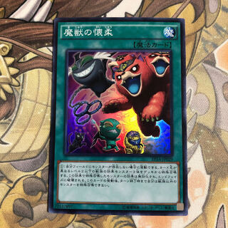 Obedience Schooled Super Rare