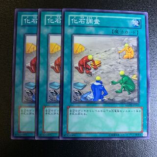 化石調査 ノーマル