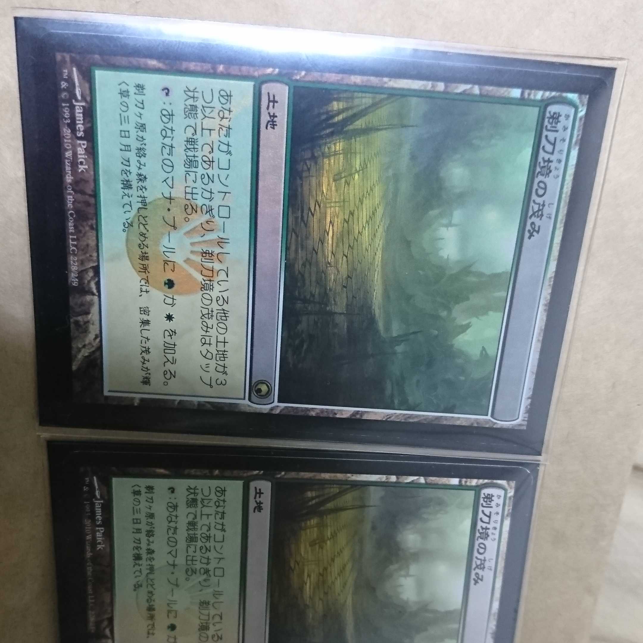 剃刀境の茂み foilと通常