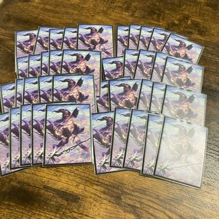 次元の魔女　ドロシー40枚オーバー付き