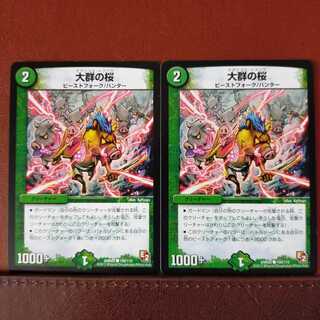 old5614セット割引　大群の桜(通常)