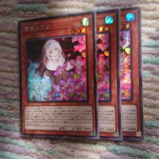 儚無みずき3枚2/18まで販売