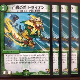 discount for old5648 set white green face tryon