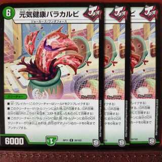 old5663 Set Discount Vigorous Healthy Ribs