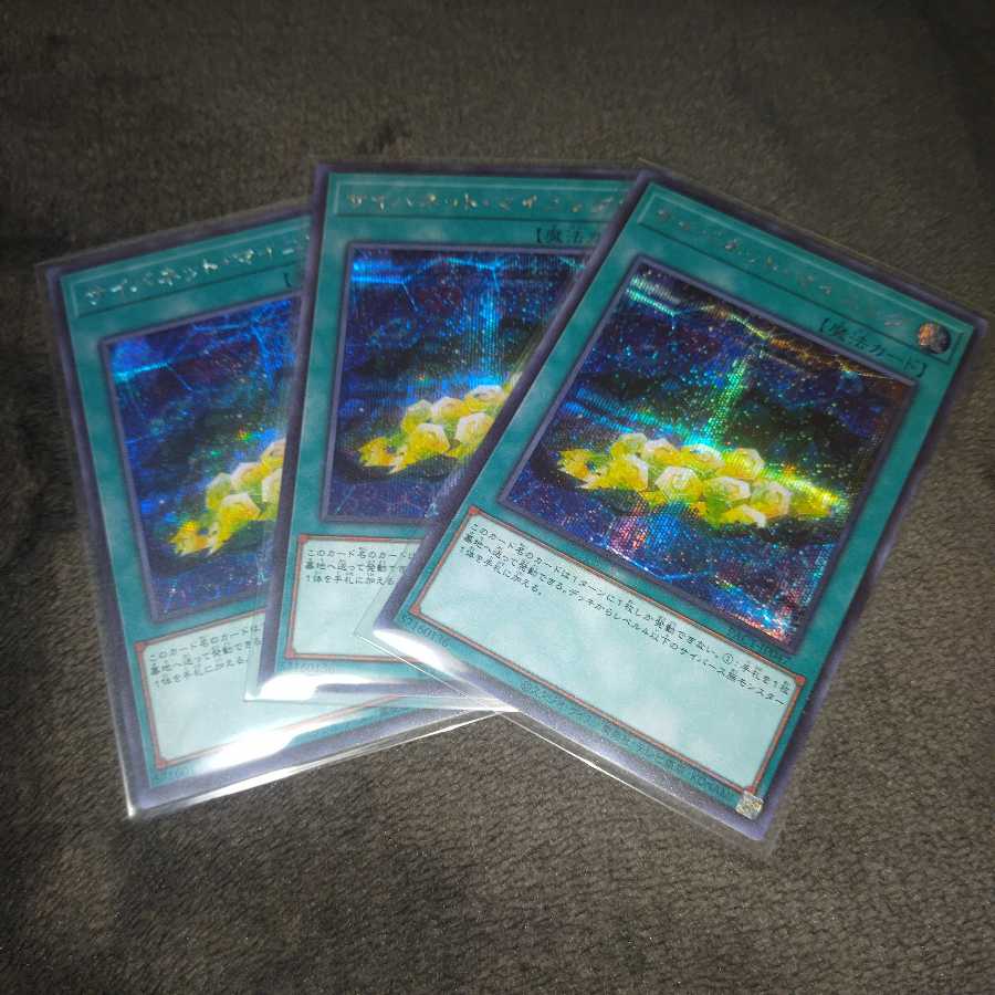 サイバネット・マイニング シークレットレア3枚