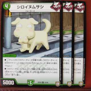 Discount on old5667 set Shiroinum tern