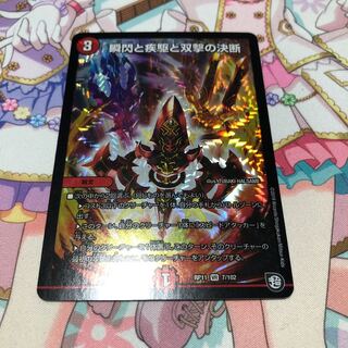 【かび様専用】瞬閃と疾駆と双撃の決断