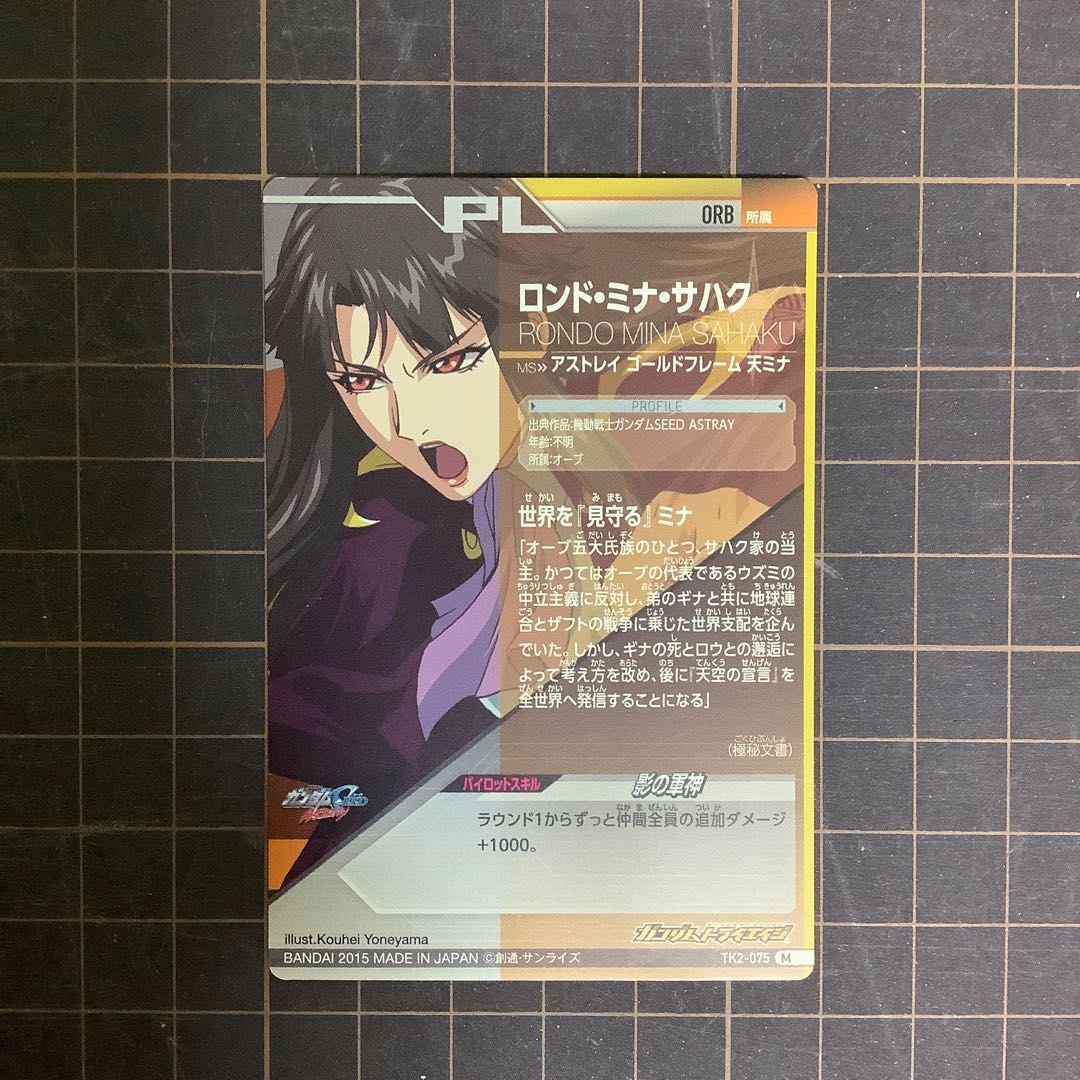 アストレイゴールドフレーム天ミナ、ロンド・ミナ・サハク　TK２弾