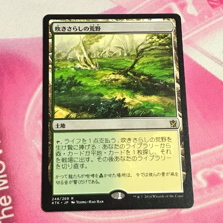 吹きさらしの荒野