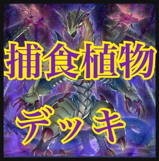 しゅぃまる様専用　捕食植物　影霊衣