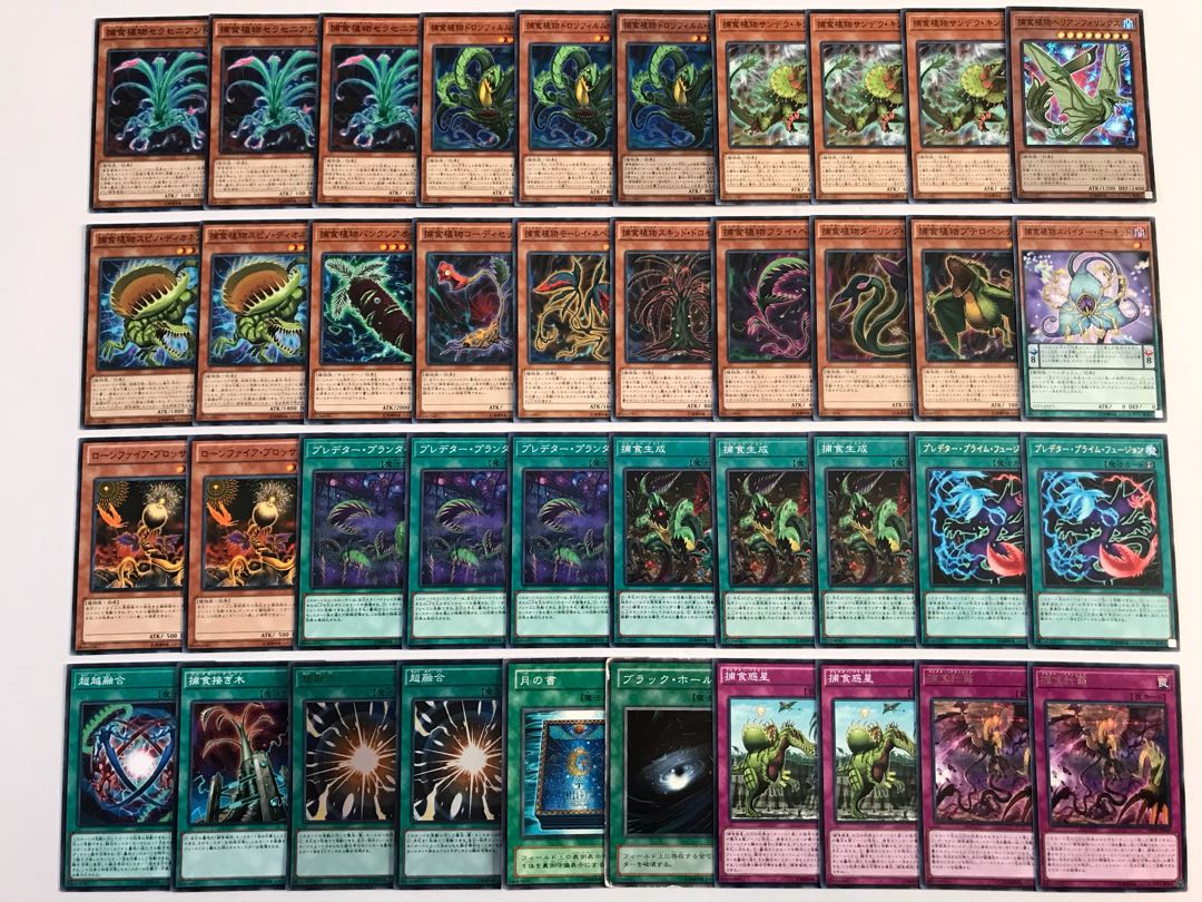 しゅぃまる様専用 捕食植物 影霊衣