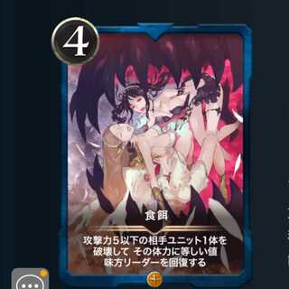 ２枚セット 食餌