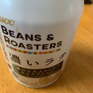 専用ハヤブサリュウ　一枚