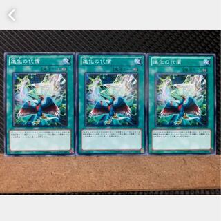 【ぽぽたん】遊戯王 4081 進化の代償 3枚 ノーマル
