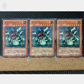 【ぽぽたん】遊戯王 4036 ギガプラント 3枚 ノーマル