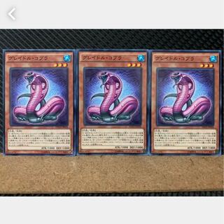 Popotan] Yu-Gi-Oh! 4010 Graydle Cobra 3 Normal