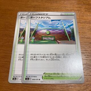 ターフスタジアム2枚