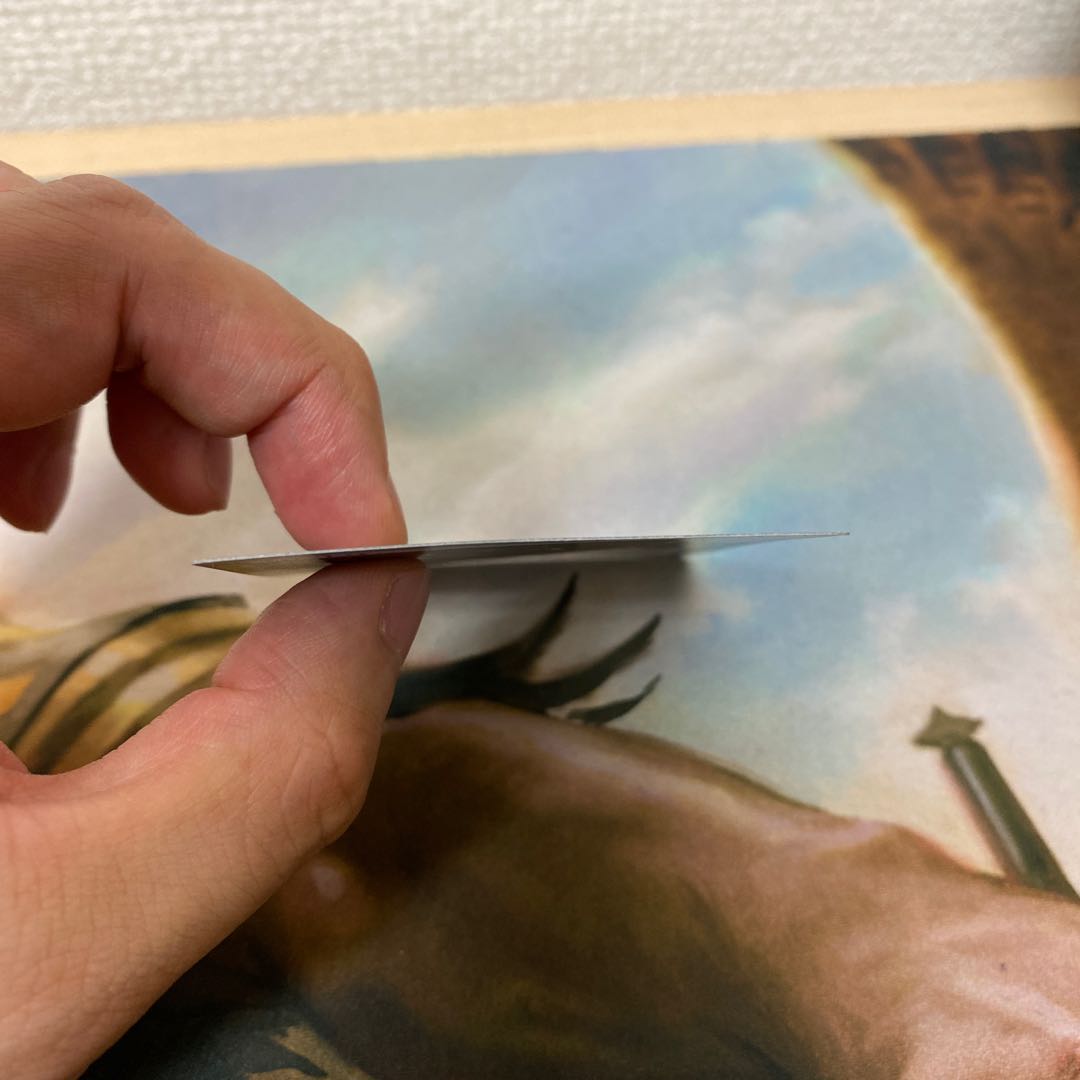 《召し上げ/Expropriate》