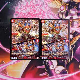 龍爪者“SVN”ムソウ｜二爪流トレーニング　２枚