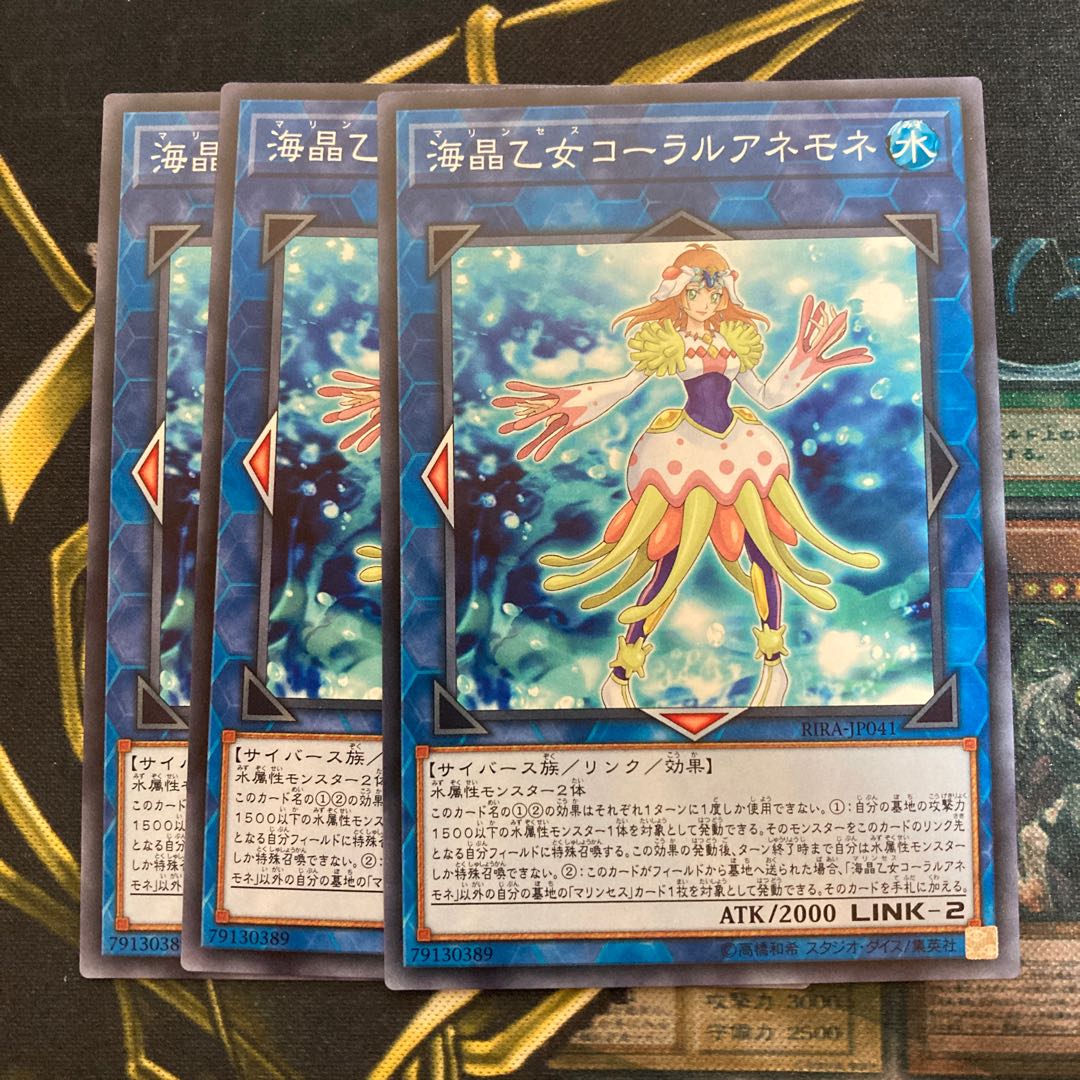 マドレース348海晶乙女コーラルアネモネ ノーマル