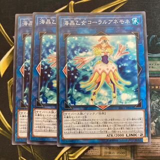 マドレース348海晶乙女コーラルアネモネ ノーマル