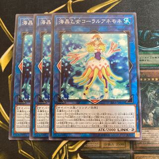 マドレース349海晶乙女コーラルアネモネ ノーマル