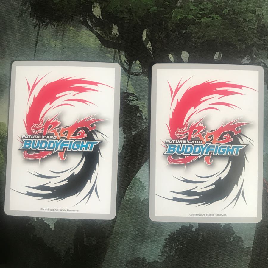 難攻不落の県壁 2枚