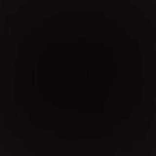 ニヤリー様専用です 1枚