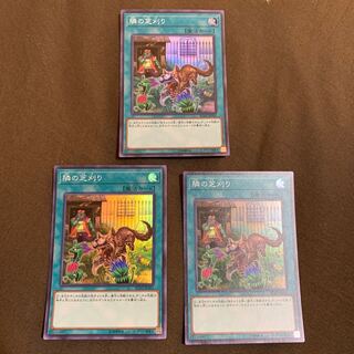 隣の芝刈り スーパーレア