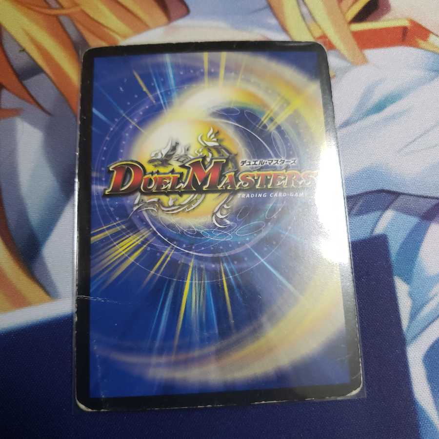 専用　煌龍 サッヴァーク SE