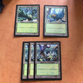 ウルザズ・サーガ　森　日&英セット