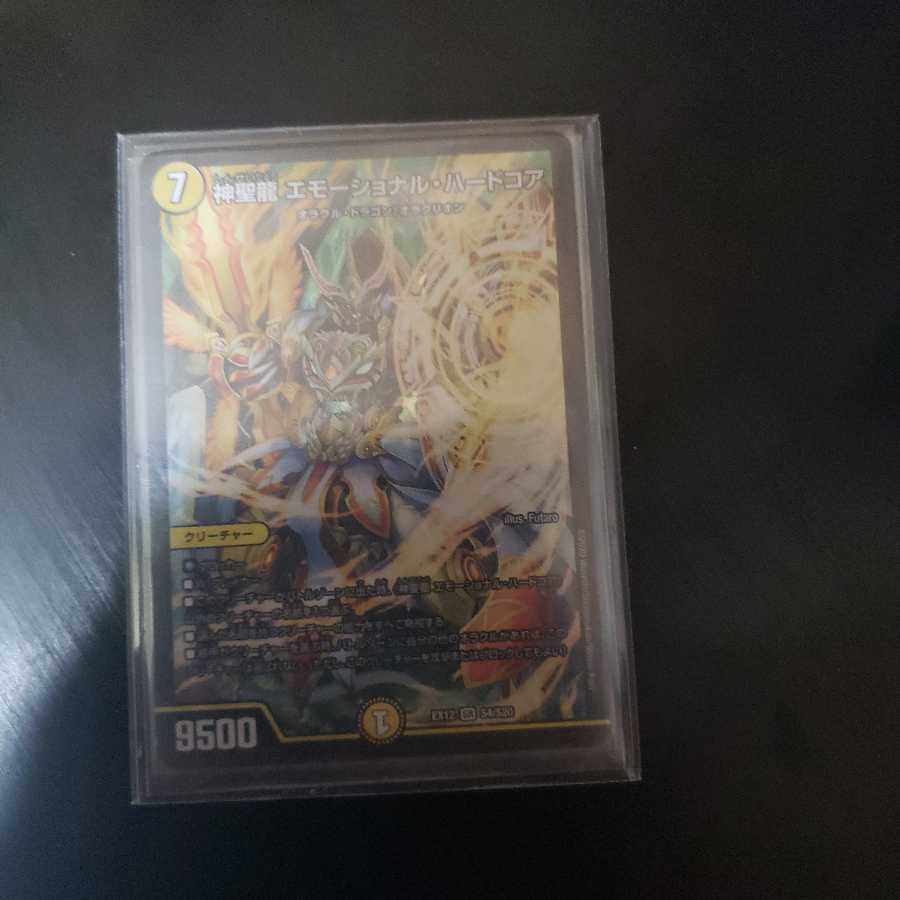 神聖龍 エモーショナル・ハードコア