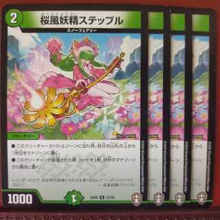 セット割引　桜風妖精ステップル