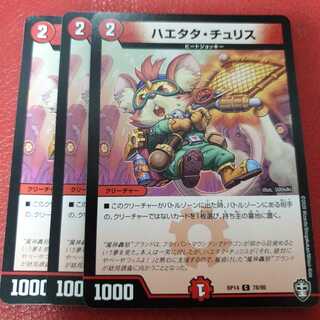 ハエタタ・チュリス 3枚